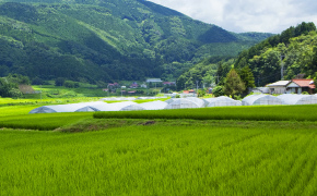 地域ごとの生活特性